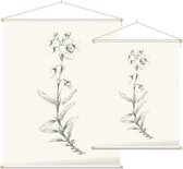 Zonneroosje zwart-wit Schets (Rock Rose) - Foto op Textielposter - 60 x 80 cm