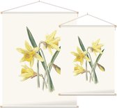 Gele Narcis (Daffodil) - Foto op Textielposter - 45 x 60 cm