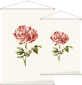 Darnastroos (York Lancaster Rose White) - Foto op Textielposter - 120 x 180 cm