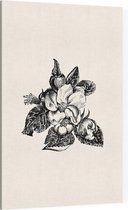 Bosrank zwart-wit (apple bossom) - Foto op Canvas - 60 x 90 cm