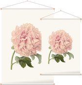 Pioenroos Aquarel (Peony) - Foto op Textielposter - 60 x 90 cm