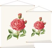 Tuinroos (Garden Rose) - Foto op Textielposter - 120 x 160 cm