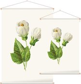 Abutilon (Abutilon) - Foto op Textielposter - 60 x 90 cm