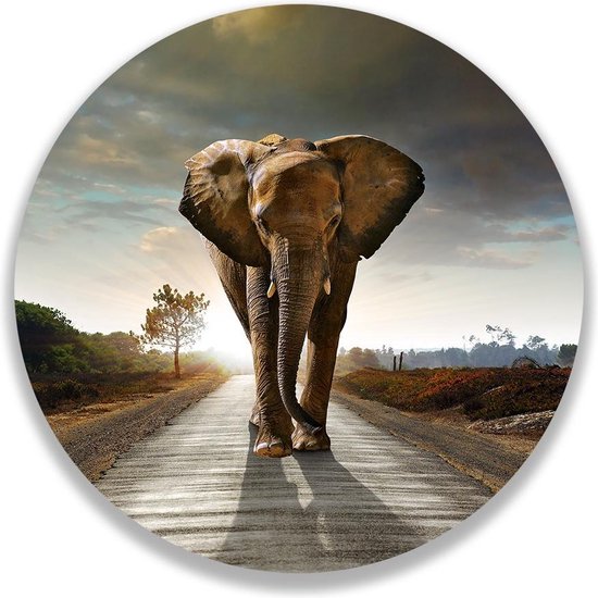 Wandcirkel Walking Elephant