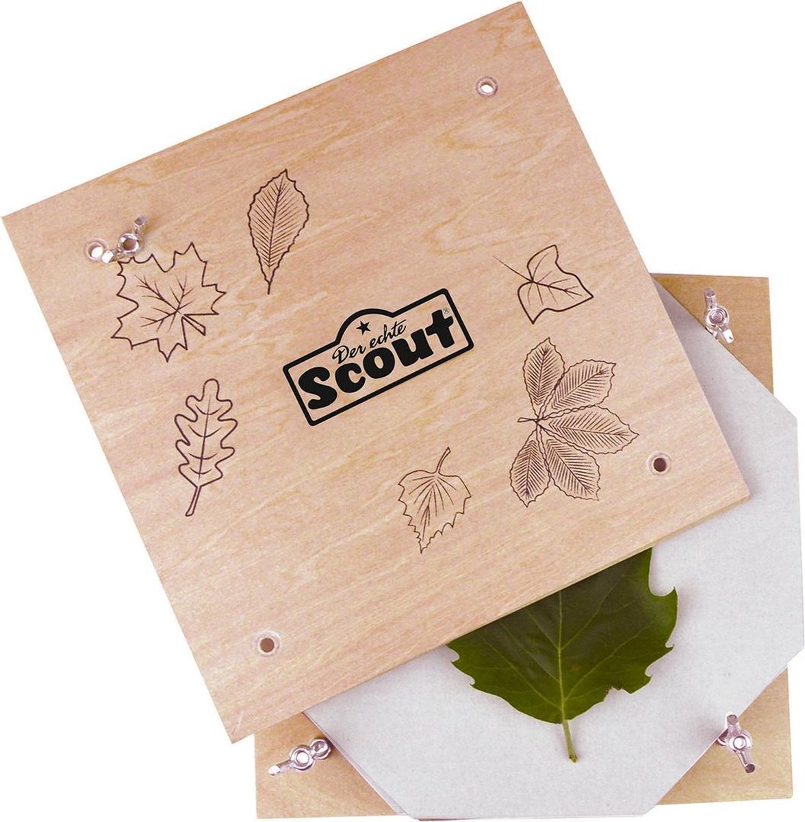 Bloemen en bladeren drogen tips en trucs Bloemen en bladeren drogen tips en trucs