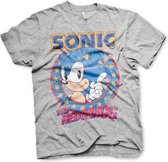 Sonic The Hedgehog Heren Tshirt -M- Grijs