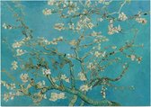 Amandelbloesem, Vincent van Gogh - Foto op Posterpapier - 59.4 x 42 cm (A2)