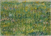 Grasgrond, Vincent van Gogh - Foto op Posterpapier - 42 x 29.7 cm (A3)