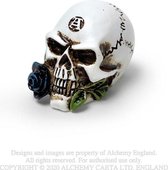 Alchemy Beeld/figuur Alchemist Skull Creme