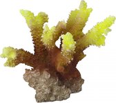 Auqa Della Coraal acropora Geel 10x9x10CM