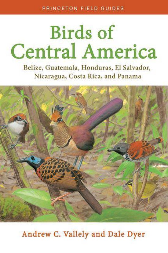 Princeton Field Guides - Birds of Central America - cover