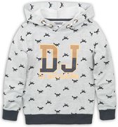 DJ Dutchjeans sweater grijs maat 110