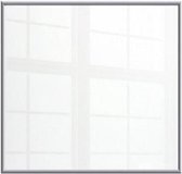Welltherm 930 Watt wit glas infrarood verwarmingspaneel