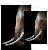 Aziatische olifant op zwarte achtergrond - Foto op Textielposter - 90 x 135 cm