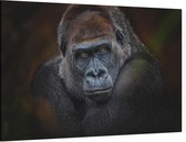 Gorilla op zwarte achtergrond - Foto op Canvas - 150 x 100 cm