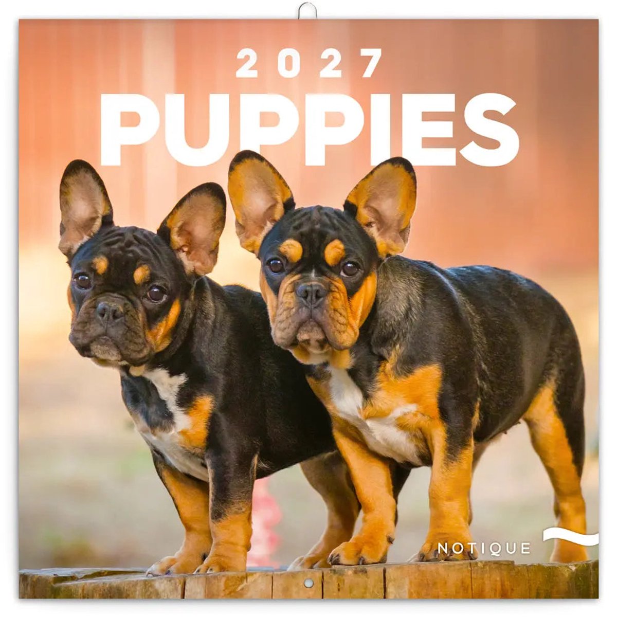 Puppies Kalender 2027