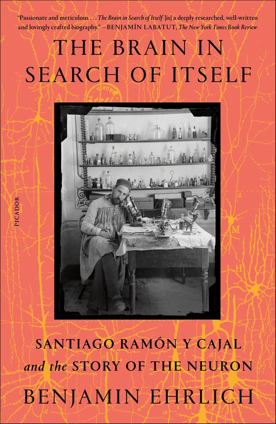 The Brain in Search of Itself - cover