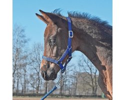 Veulenhalster - Jong paard tuig - Training en verzorging - Meervoudig verstelbaar - N.v.t. - Koningsblauw