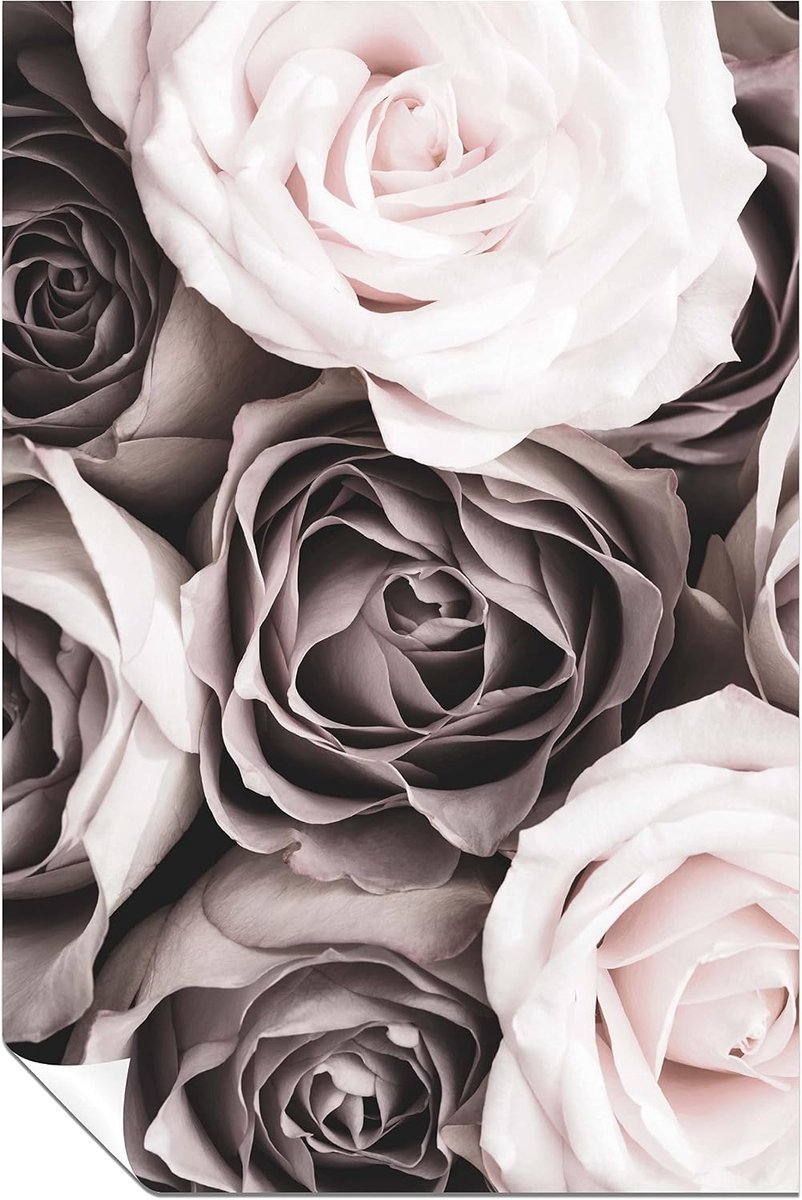 Rozen Poster - Bloemen Kunst - Muur Decoratie - Artistieke Close-up - 31x20cm - Kleurrijk