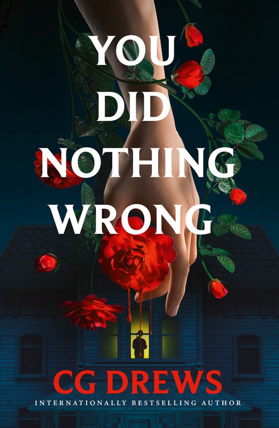 You Did Nothing Wrong - cover