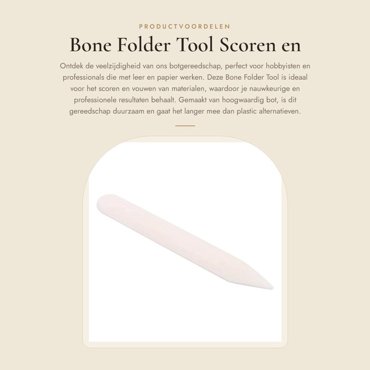 Dailygoods- Bone Folder Hoogwaardig Bot - Scoren/Vouwen - Kreuken Tool - Multifunctioneel - 15 cm - Duurzaam - Creatietool