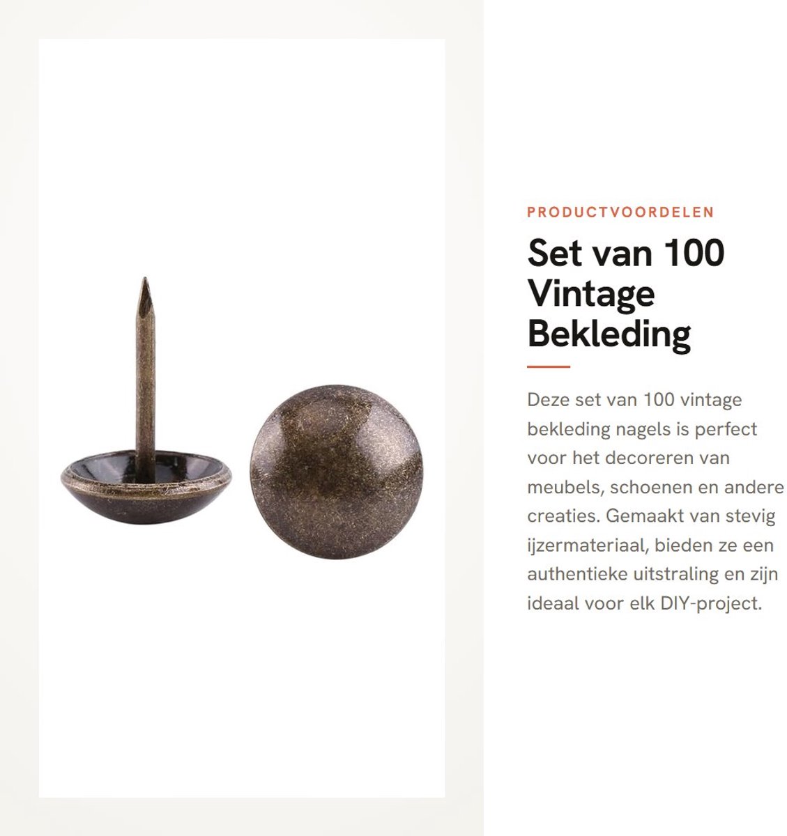 Dailygoods- Bekleding Nagels 100 Stuks - Vintage Metalen Tack - Decoratieve Pinnen - Meubelaccessoires - Stevig en Duurzaam - Afmetingen 12 * 17 mm - Meubelspijkers
