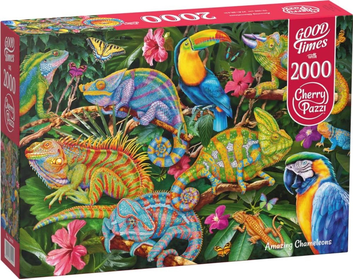 Legpuzzel - 2000 stukjes - Ontspanning thuis - Gedetailleerd ontwerp - 70 x 100 cm - Multicolor