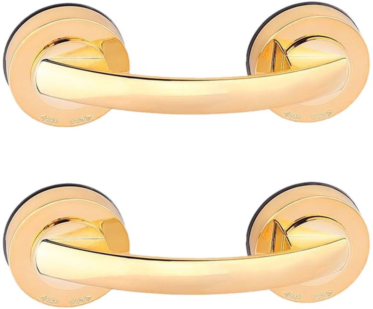 Dailygoods- Grab Bar - 2 Stuks - Antislip Zuighandvat - Badkamer Veiligheid - Ondersteuning voor Douche/Badkuip - Lichtgewicht en Compact - Veiligheidsbeugel
