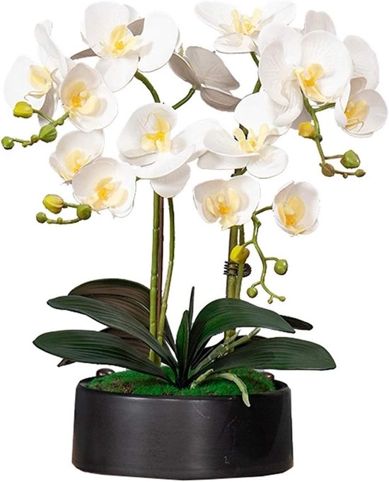Kunstorchideeën in vaas - Nep plant - Woonkamer decoratie - Onderhoudsvrij - 40 cm hoog - Meerkleurig