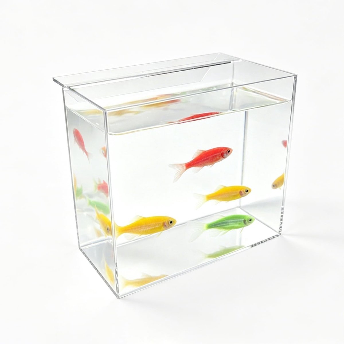 Kweekbak - Transparant - 18,6 x 8,6 x 16,5 cm - Acryl Acclimatiseringscontainer voor Vissen en Koralen