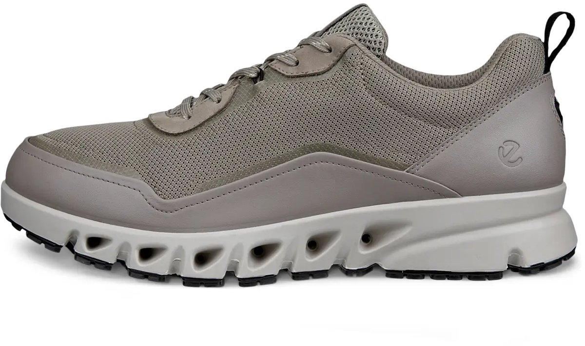 Baskets Ecco Multi-vent GTXS Grijs