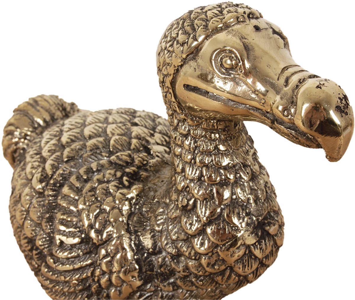 Messing Mini Dodo