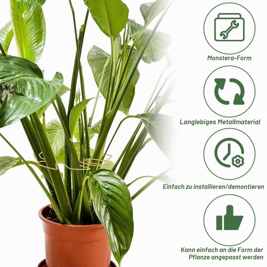 Pflantensteun 4-delig voor Monstera en andere kamerplanten — afbeelding 5