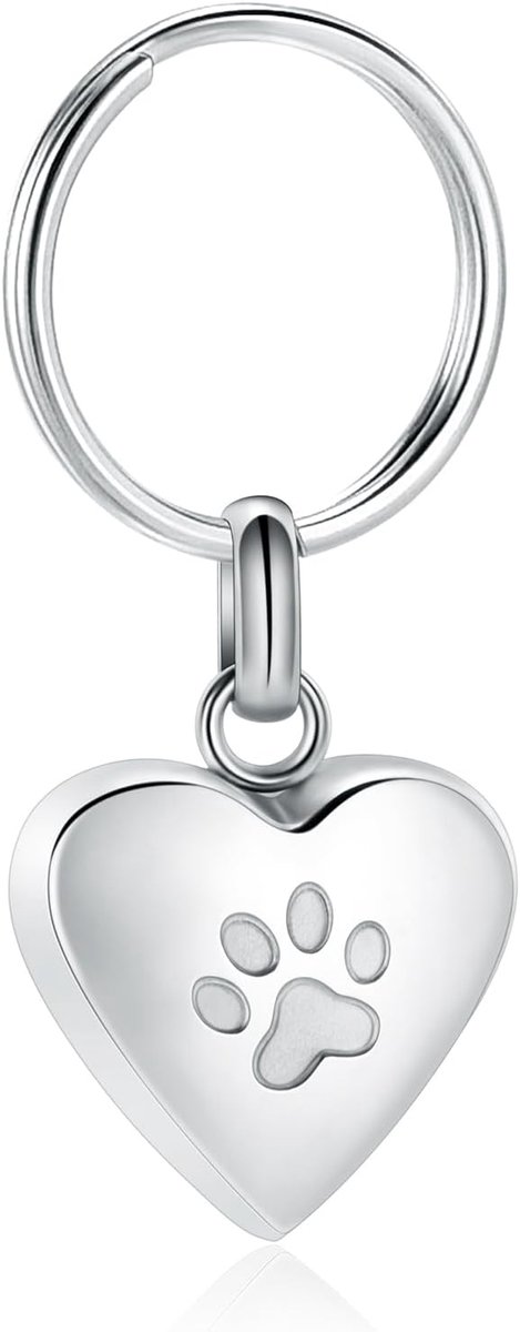 Sieraden urn sleutelhanger voor huisdier menselijke as hond kat keepsake gedenkteken urn sleutelhanger ashouder voor vrouwen mannen