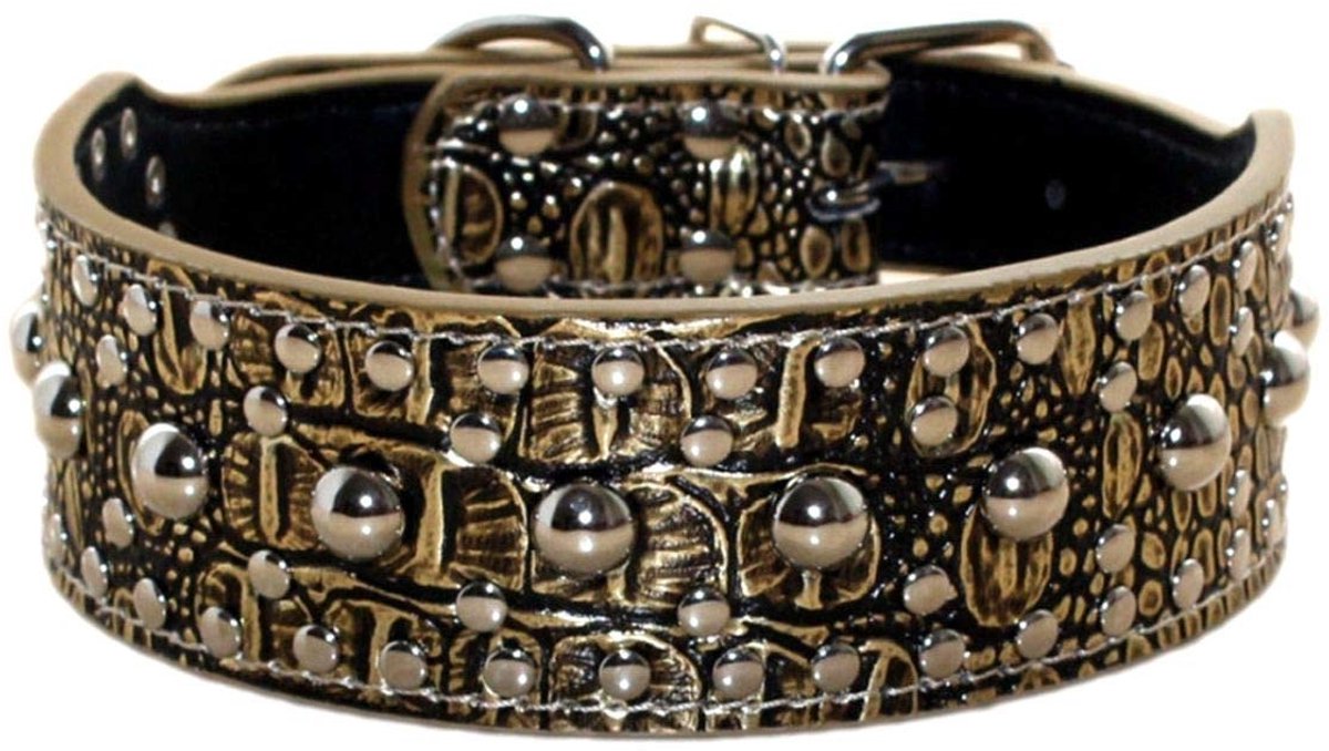 SolidKeus - Hondenhalsband met Klinknagels voor Middelgrote en Grote Honden