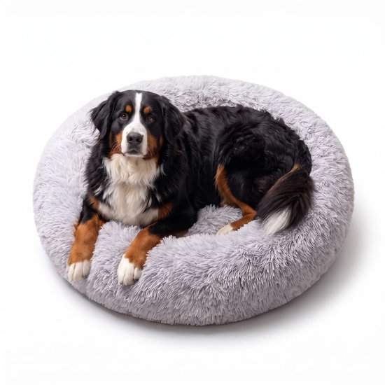 Bouvier bernois sur un lit pour chien doux, gris clair, avec des taches blanches et brunes.