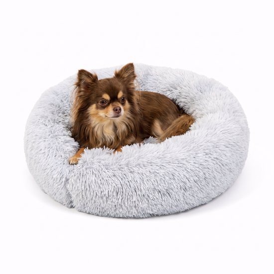 Chihuahua brun est allongé dans un lit rond moelleux gris clair sur fond blanc.