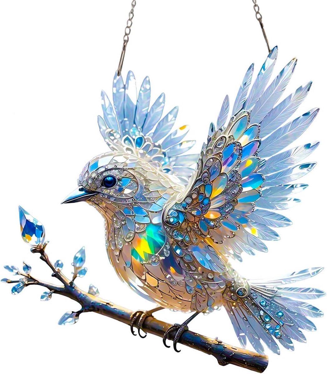 Dubbelzijdige zonnevanger van gekleurd glas, acryl, om op te hangen, kristallen zonnevanger voor woonkamer, eenvoudig op te hangen, ketting, touw, vogelornament