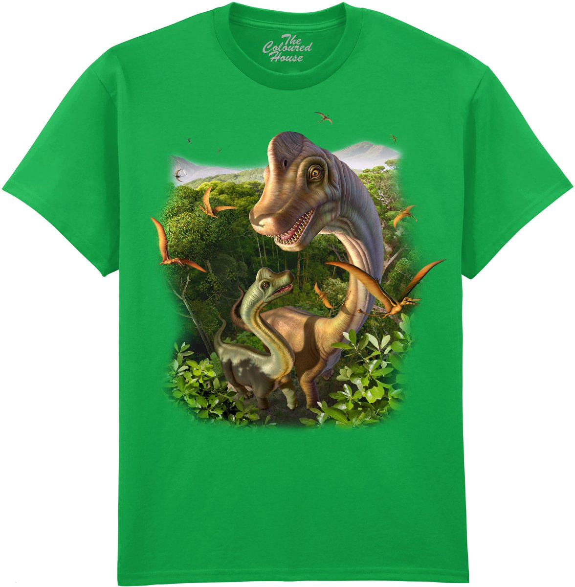 Dinosaurus Mothers Protection The Coloured House T-shirt M