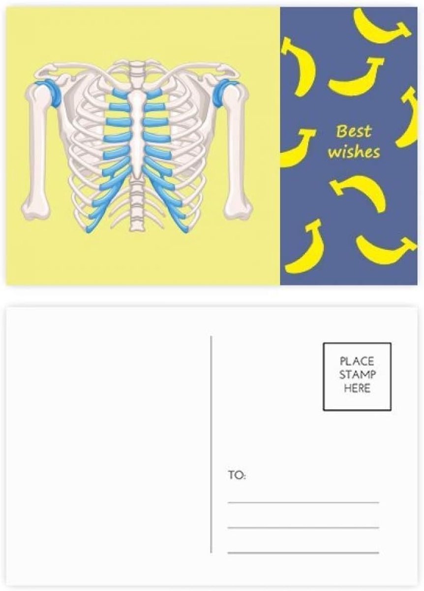 Postkaart Set - Bedankkaartjes Notitiekaarten - Berichten Versturen - Dubbelzijdig Bedrukt - 20 Stuks - Multikleur
