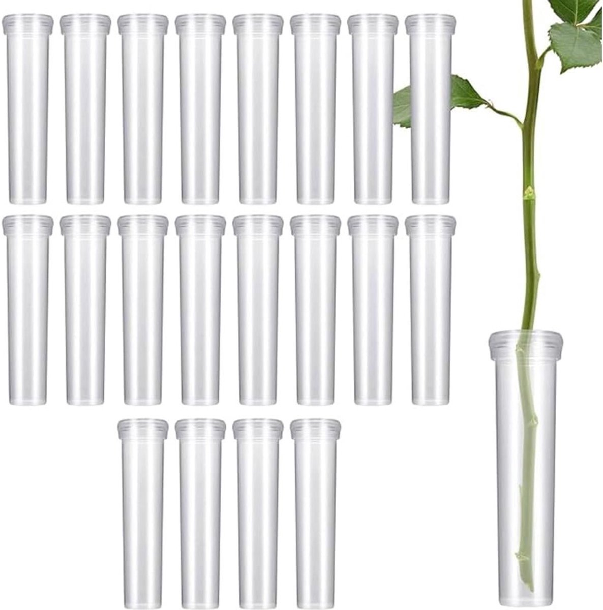 Plastic Bloembuisjes voor Bloemen, Herbruikbare Water Tubes met Deksel, Ideaal voor Bloemarrangementen - 20 Stuks, 1.8*7cm, Duurzaam en Praktisch