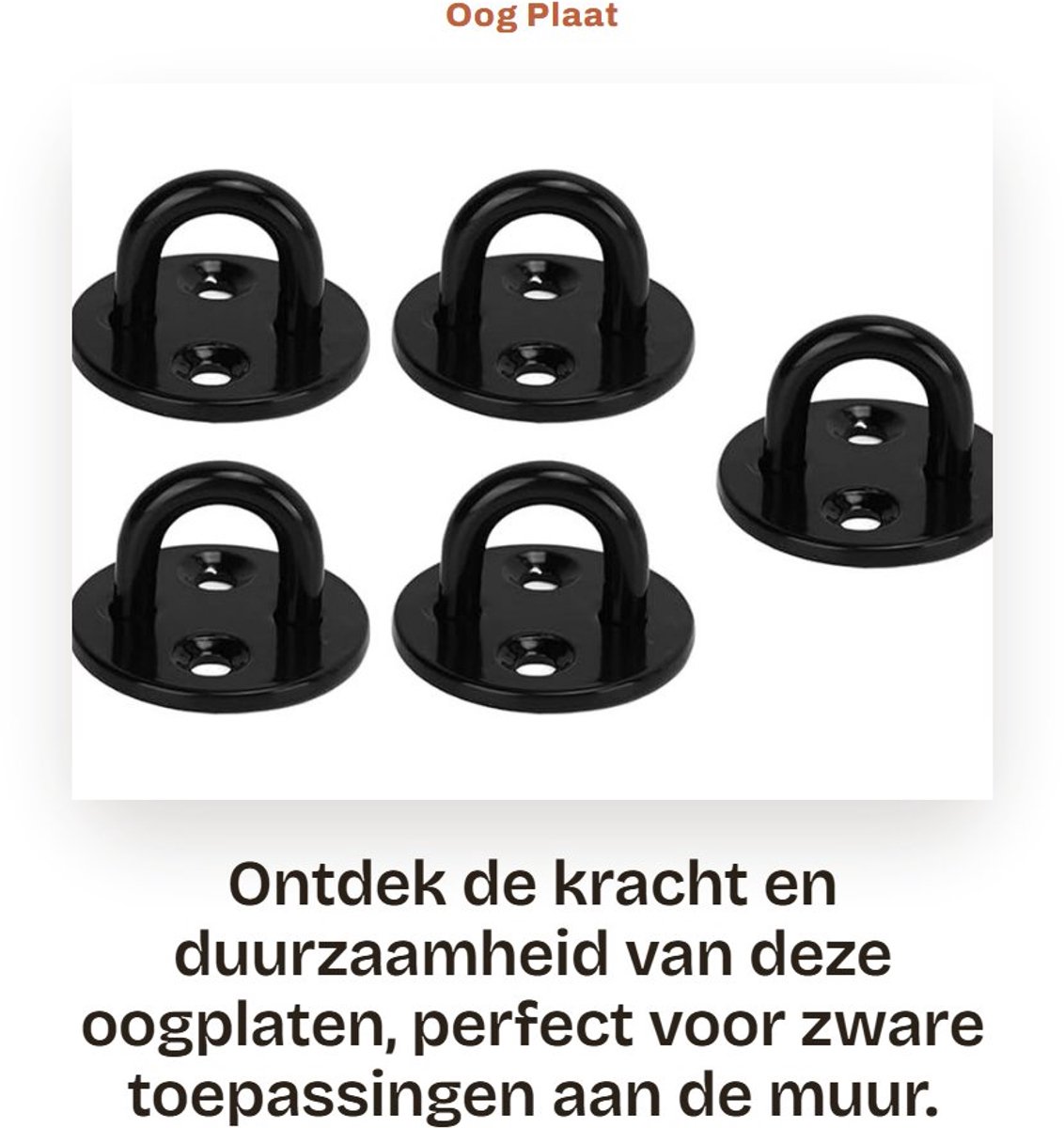 Solidchoice- Oogplaat Roestvrij Staal - 5 Stuks - Slijtvast/Krasbestendig - Voor Houten/Beton Plafond - Hangplanten/Hangmat - Duurzaam Lassen - Haakplaat