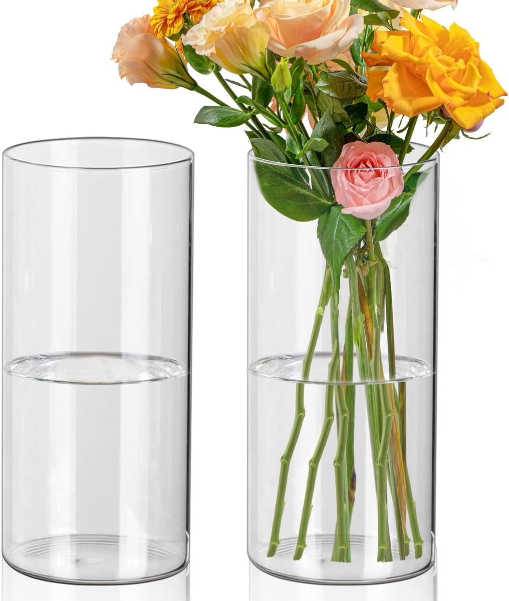 SnelShoppen - 2x Cylinder Vazen 20cm Hoog Glas Vaas Transparant Cilindrisch voor DIY, Kaarsenhouder, Bloemenarrangement, Woonkamer, Thuis, Kantoor of