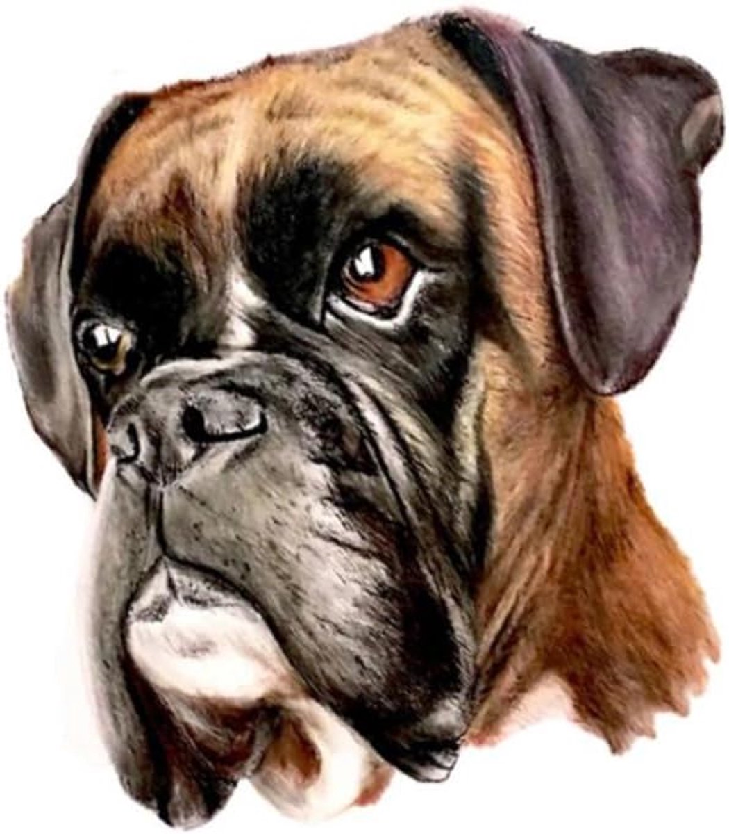 SnelShoppen - Grappige Boxer Hondenstickers - Waterbestendige en Reflecterende Stickers voor Auto, Laptop, Koelkast, Bumper en Raam - 25 cm - Perfecte