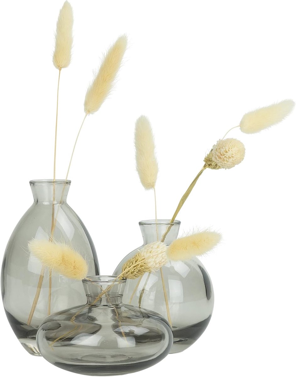 SnelShoppen - Set van 3 Elegante Glazen Vazen voor Verse en Gedroogde Bloemen - Vintage Grijze Decoratieve Vazen voor Tafel, Bruiloft, Verjaardag en J