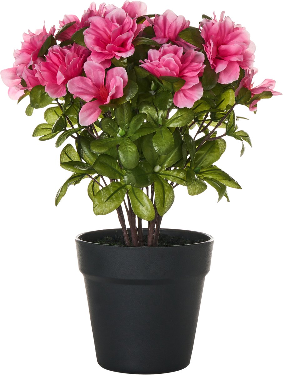 NOVELLA - Kunstplant - Groen/Roze - Synthetisch materiaal
