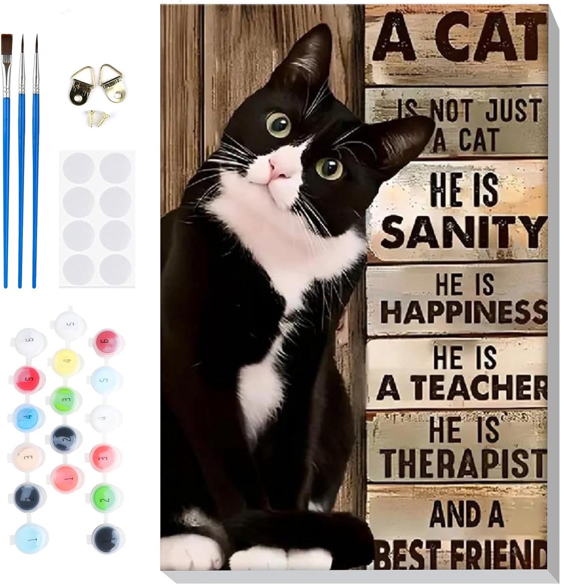 SnelShoppen - Paint by Numbers Set voor Volwassenen - Schilderen op Canvas met Zwart Kat Motief, Inclusief Houten Frame en 3 Penselen, DIY Acryl Schil