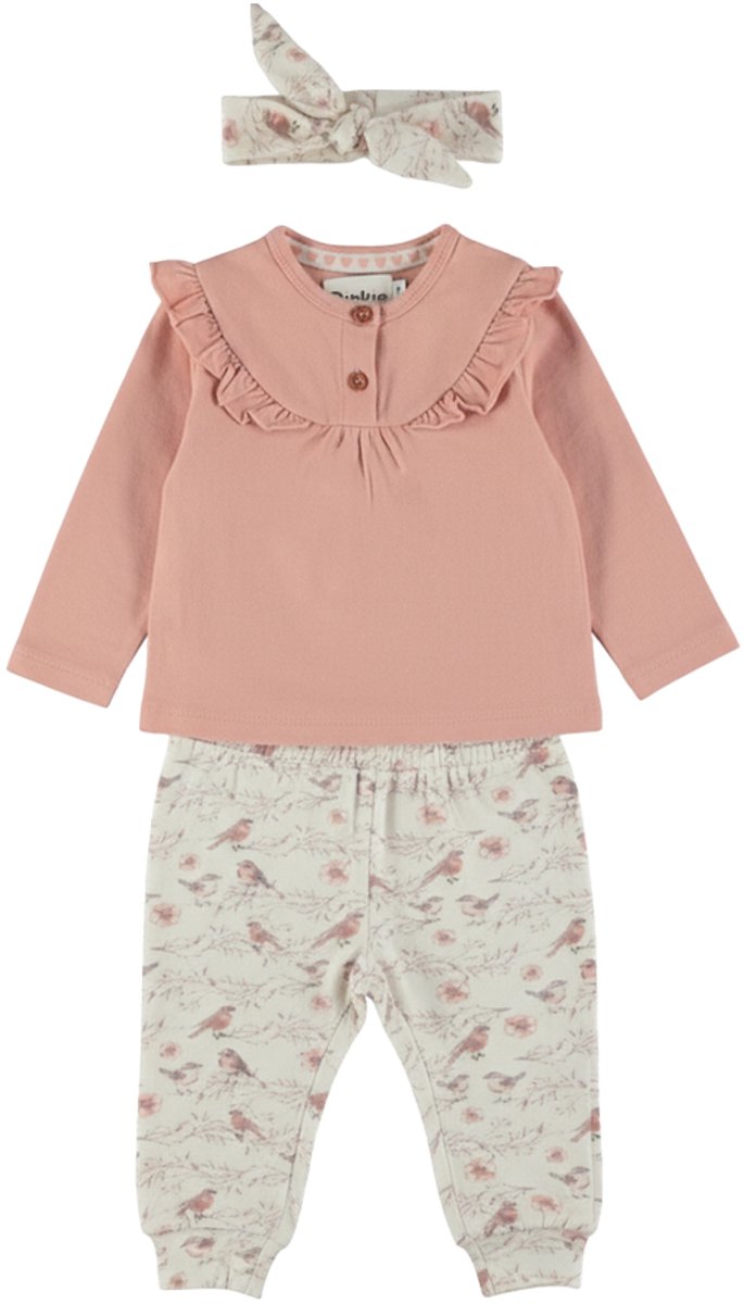 Dirkje Meisjes 3-delige Kledingset - Misty rose