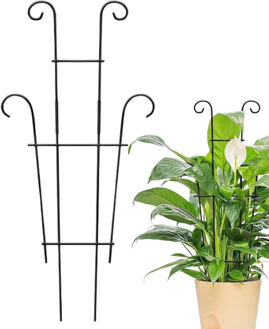 Plant Trellis - Klimplantsteun - Klimplanten Ondersteunen - IJzeren Constructie - 5362 cm - Zwart