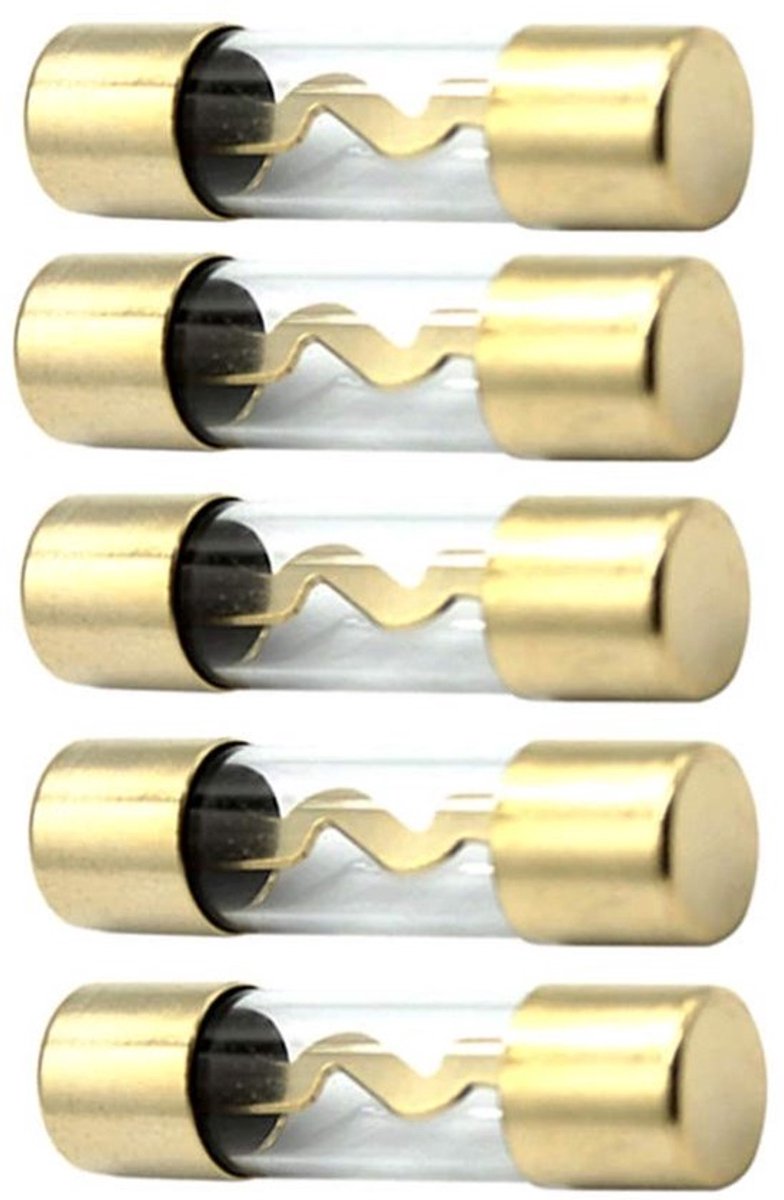 Auto audio bescherming Dailygoody AGU Fuse goud geplaatst